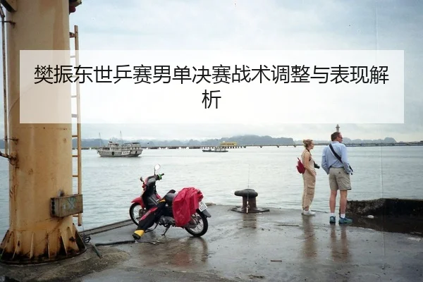 樊振东世乒赛男单决赛战术调整与表现解析